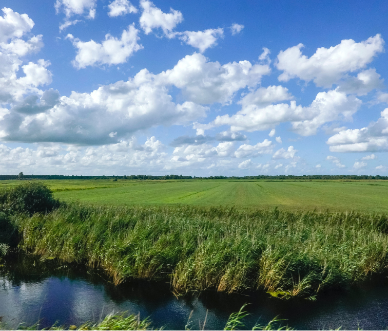 Hollandse polder
